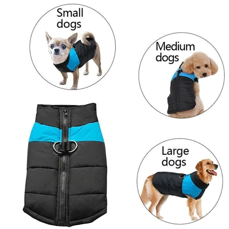 Pet dog Cotton Vest Colours Jacket Winter Warm Pet Clothes Shoppressgo